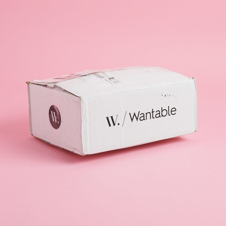wantable fitness box