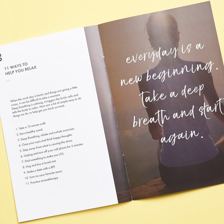 tips in bombay and cedar info booklet