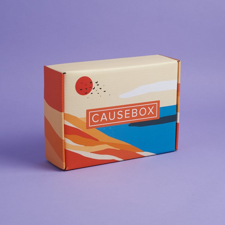 causebox summer box design