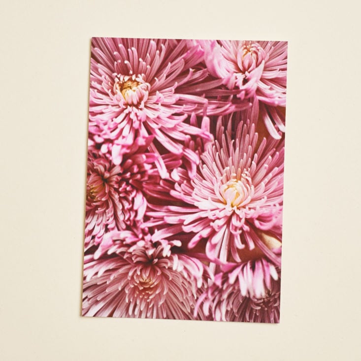 Flower postcard