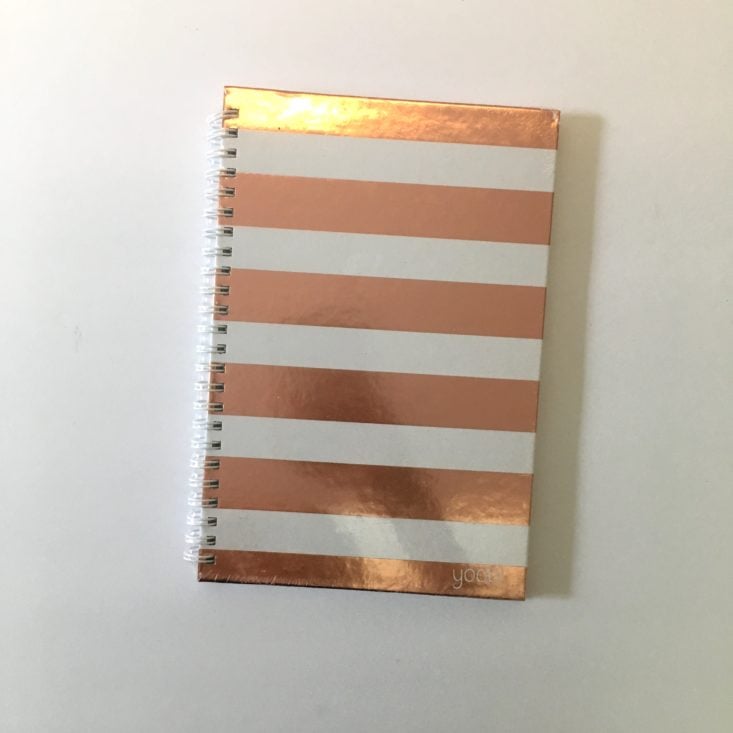 Scribbler May 2018 Metallic Notebook