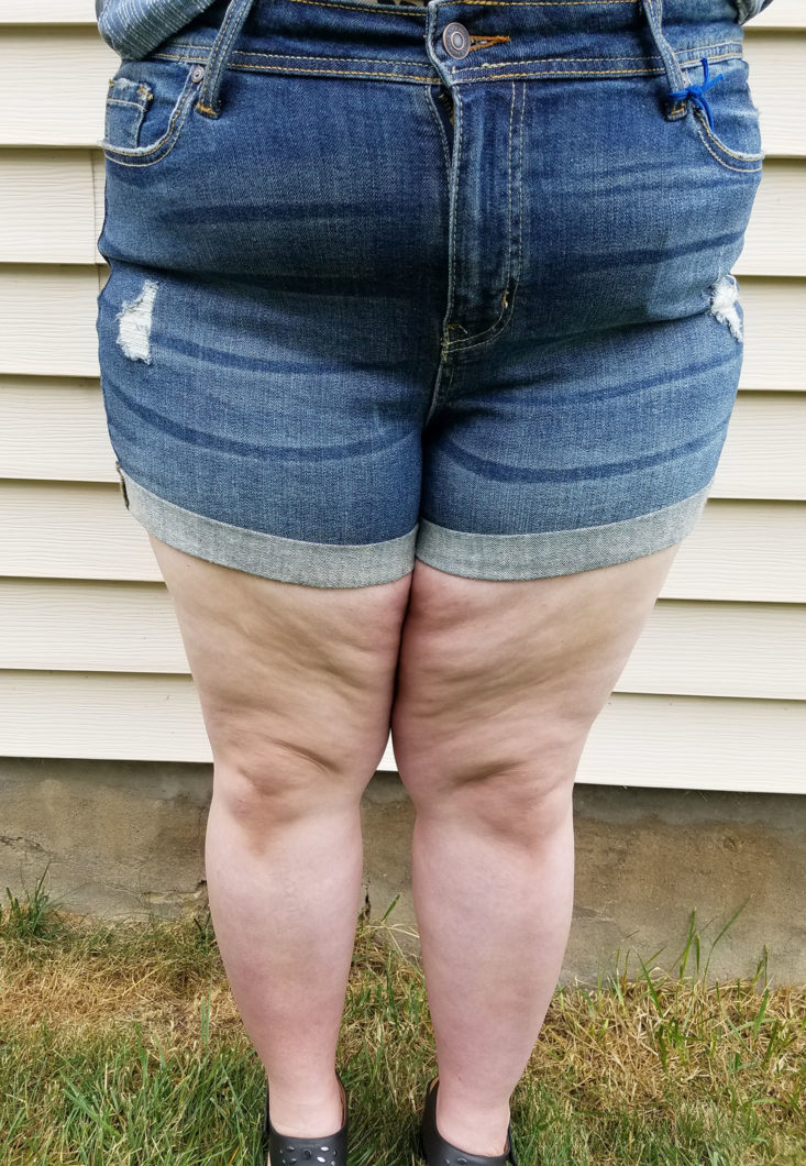 Stitch Fix Plus June 2018 Box 0021 shorts