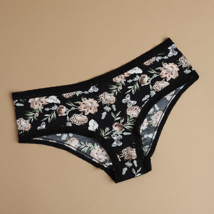 front of Blush The micro laced trimmed hipster underwear in floral