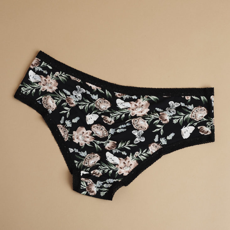 back of Blush The micro laced trimmed hipster underwear in floral