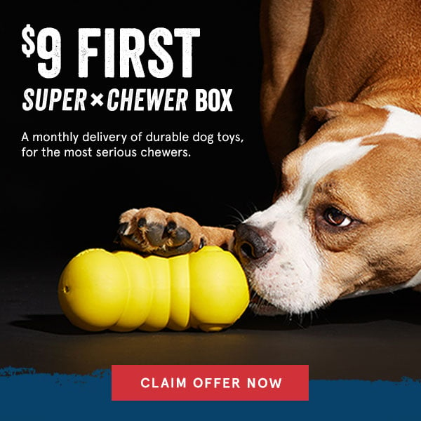barkbox super chewer coupon