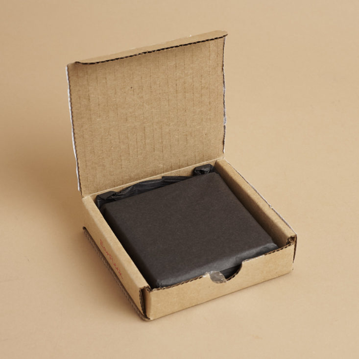 earfleek premier tier unboxing