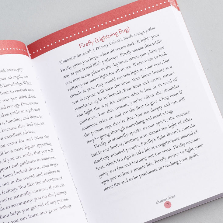 Goddess Provisions Wild Wisdom book page