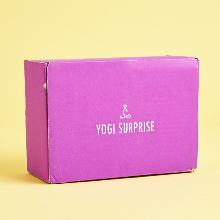 yogi surprise box