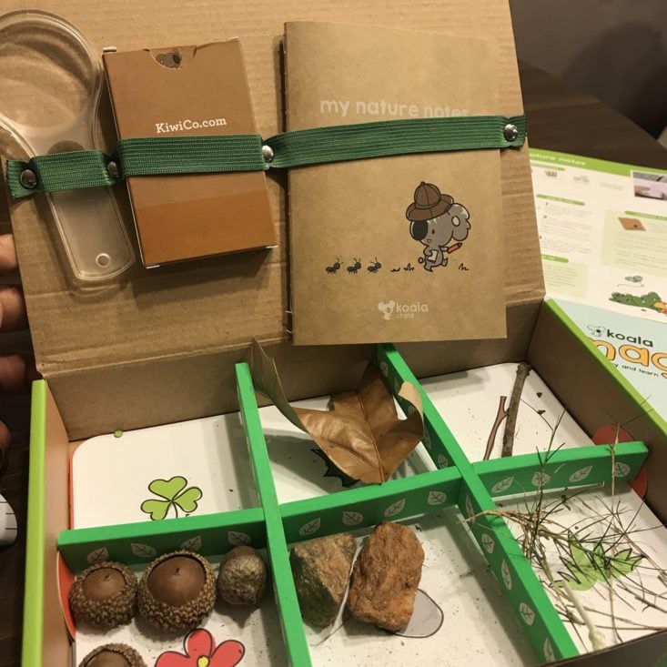 Koala Crate September 2018- Nature Box Opned with items Front