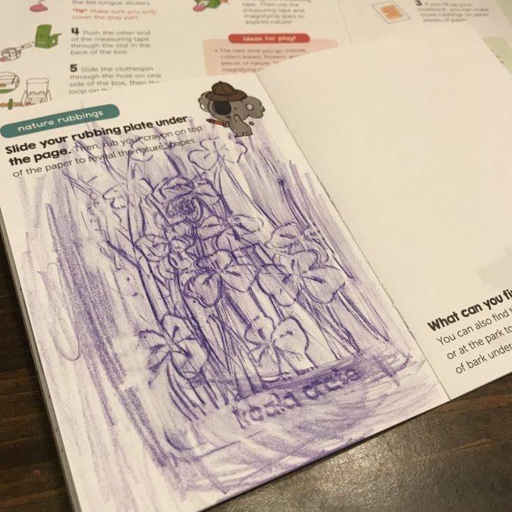 Koala Crate September 2018-Nature Notes Book Top
