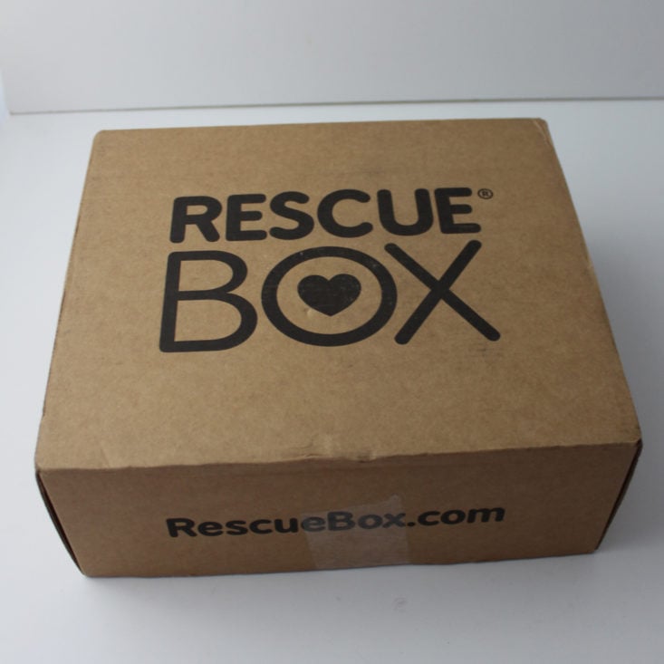 Rescue Box October 2018 Box - Box Closed Top View