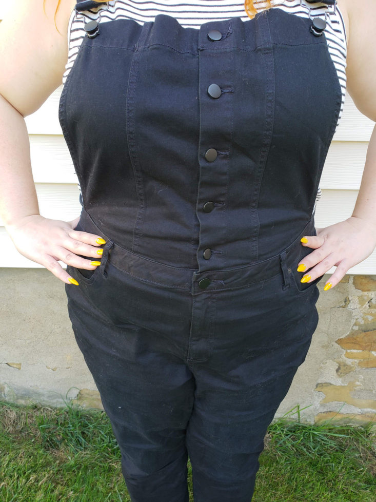 Shoe Dazzle September 2018 - Plus Size Skinny Overall Size Closer View Front
