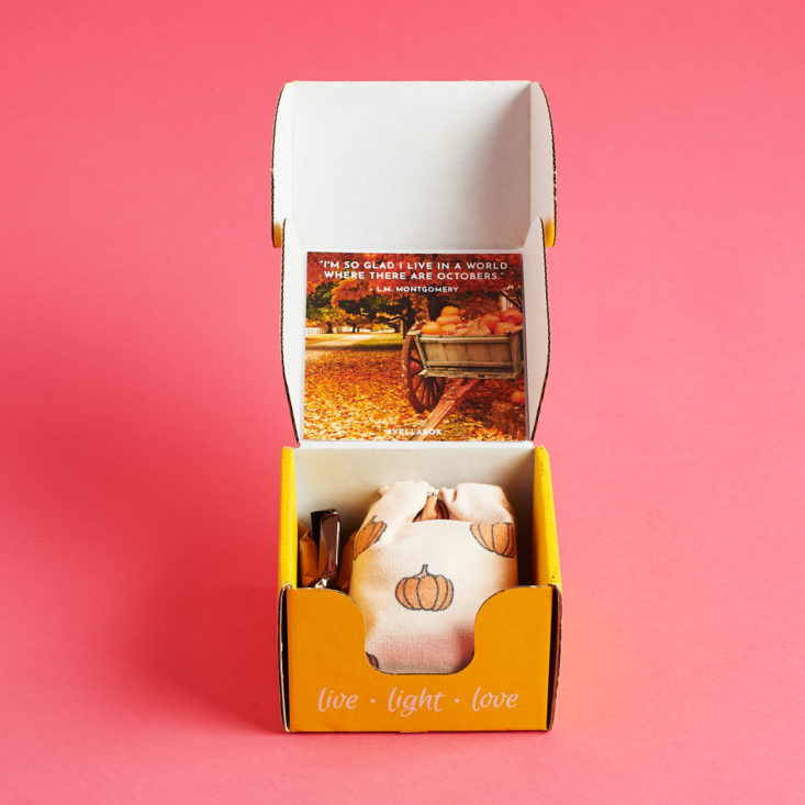 Vellabox Lucerna October 2018 - Box Open Front