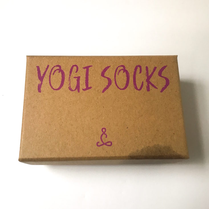 Yogi Surprise October 2018 - Yogi Surprise Socks 1