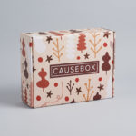 Today Only! CAUSEBOX Flash Sale! $15 Off the Winter Box!