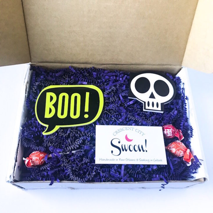 Crescent City Swoon Subscription Box October 2018 Review - Open Box 1 Top