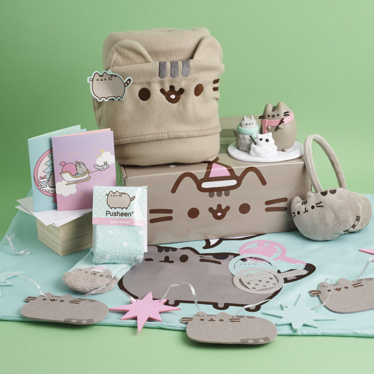 pusheen 2020 winter box