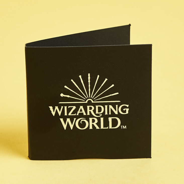 Wizarding World Crate November 2018 - Fawkes Pin Case Front