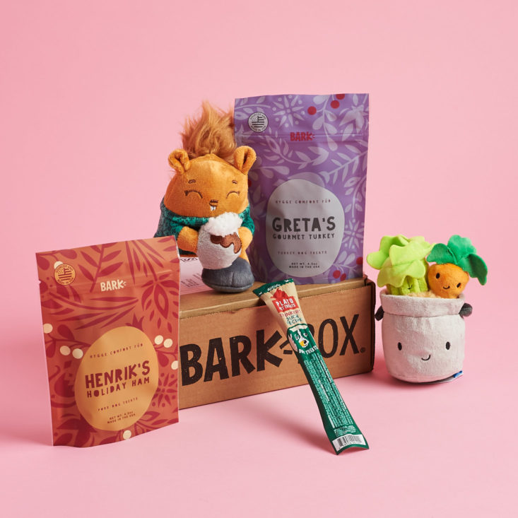 Barkbox January 2019 - All Products With Box Front