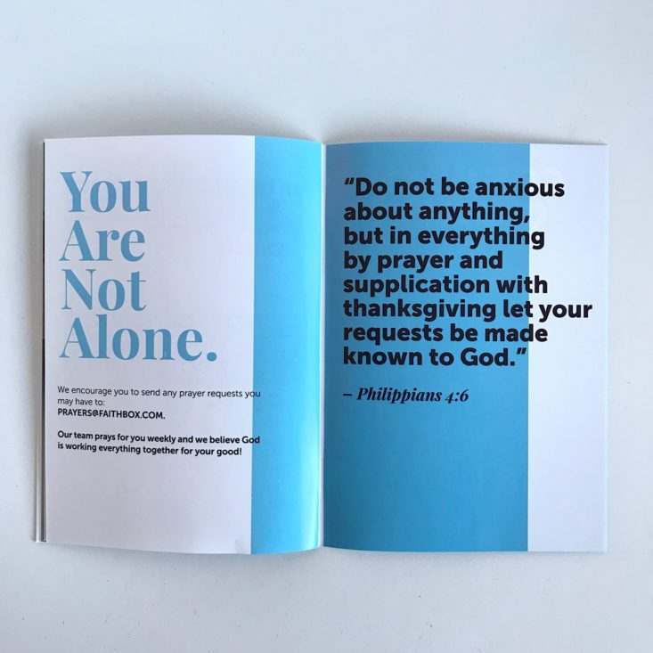 FaithBox January 2019 - Impact Guide You Are Not Alone