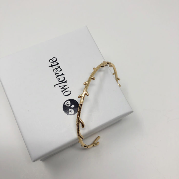 OwlCrate YA Book Box January 2019 - Antler Bracelet With Box Top
