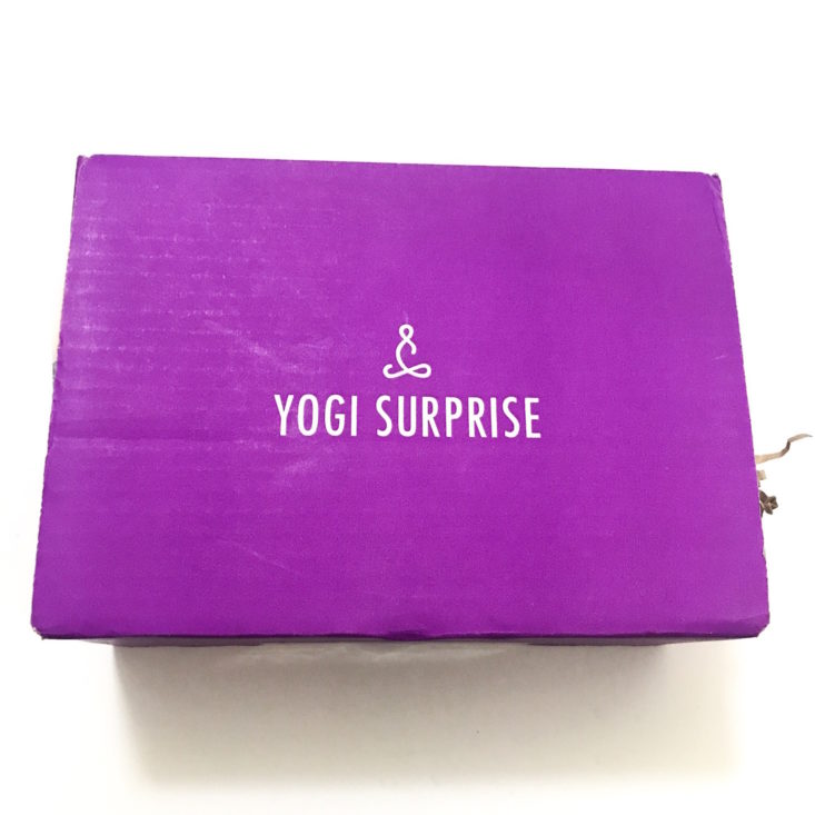 Yogi Surprise December 2018 - Box Closed Top