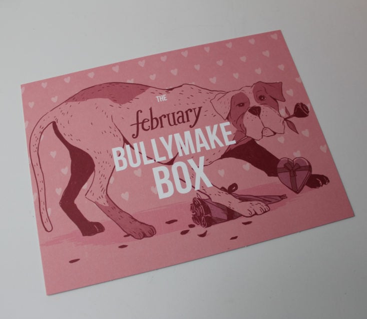 Bullymake Box Review February 2019 - Information Booklet Front Top