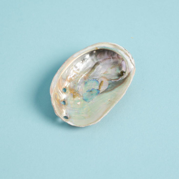 Wonderful Objects Serenity and Clarity February 2019 abalone shell