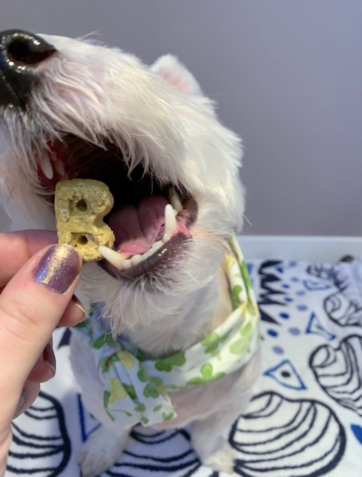 Dapper Dog Box Review March 2019 - Bocce’s Bakery Turmeric Latte Biscuits With Dog Front