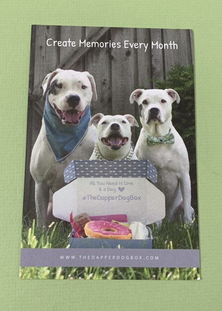 Dapper Dog Box Review March 2019 - Information Card 2 Top