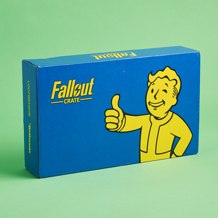 Fallout Crate #8 Aftermath 