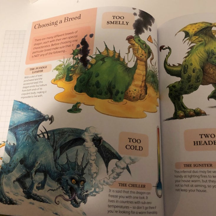 Little Bookish Wardrobe March 2019 - Dare to Care Pet Dragon By Mark Robertson And Sally Symes Inside 1
