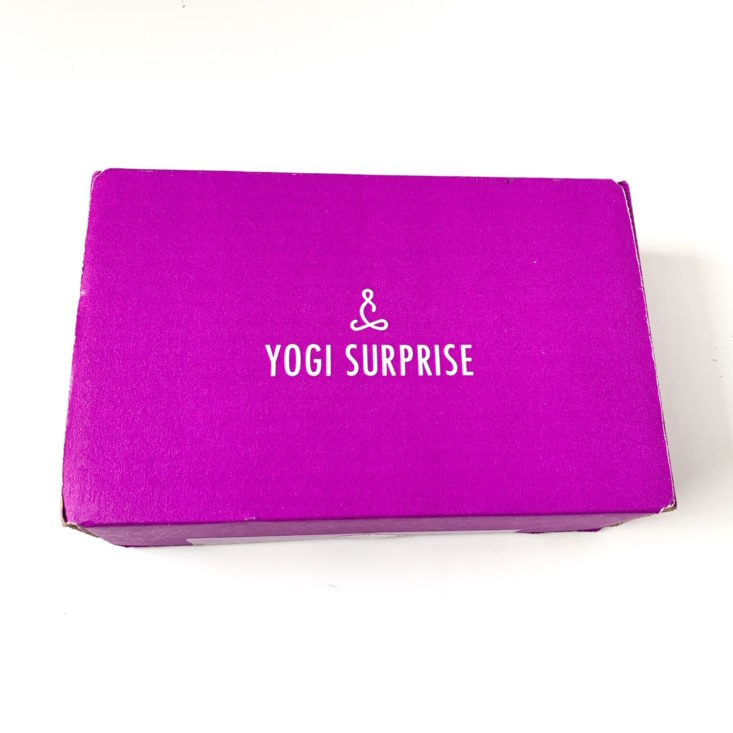 Yogi Surprise Jewelry March 2019 - Box