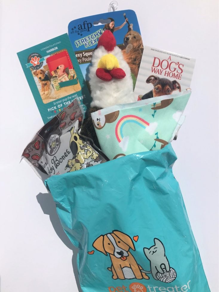 2 Mini Monthly Mystery Box For Dogs Subscription Review -April 2019-Opened Box Photo