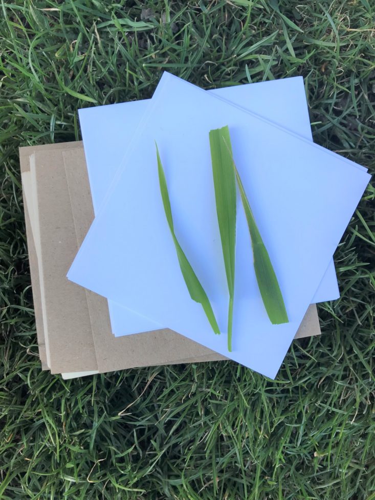 21 KidArt Lit April 2019 - Grass On Paper
