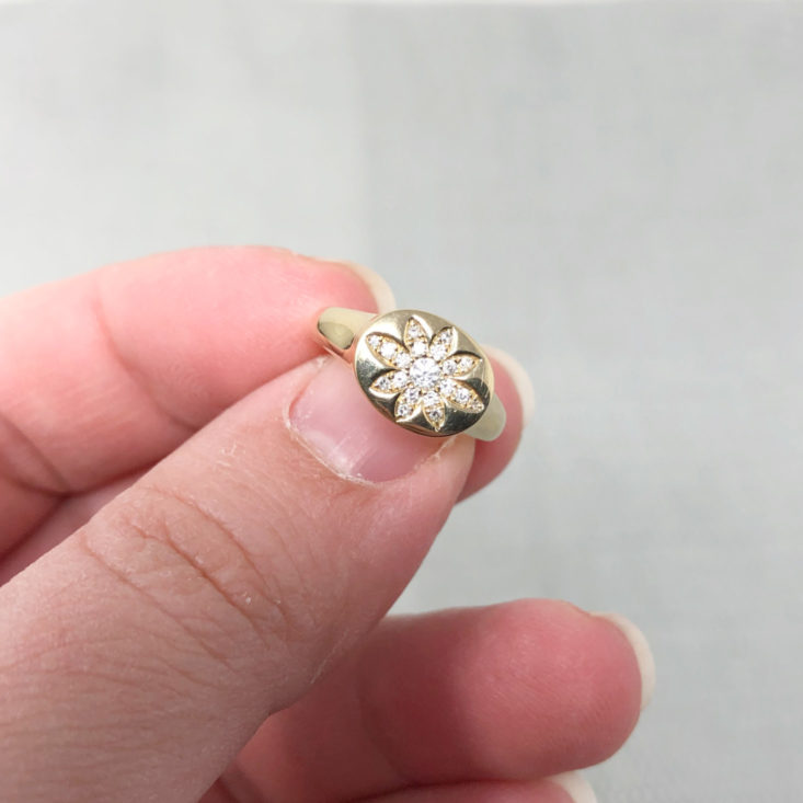 22 Switch Designer Jewelry Rental Subscription Review April 2019 - Do Not Disturb Lucerne Signet Pinky Ring