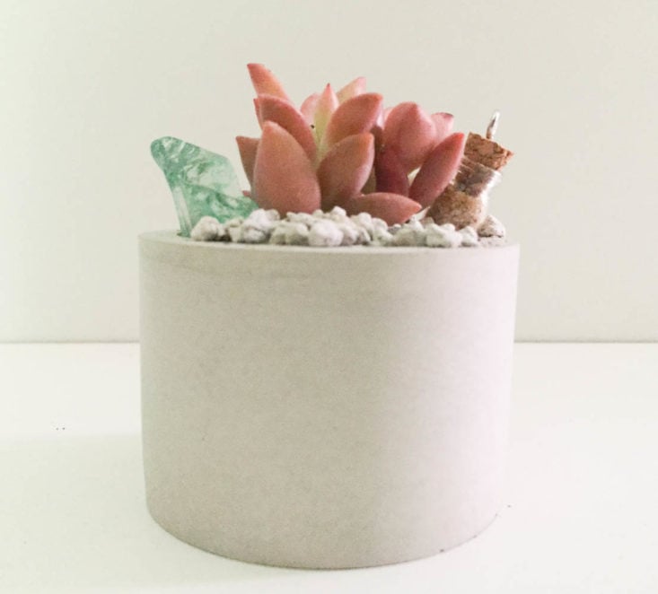 California Found Subscription Box Review April 2019 - DIY Meditative Terrarium by In Succulent Love 3 Top