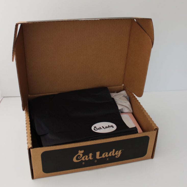 Cat Lady Box Review April 2019 - Box Inside Front
