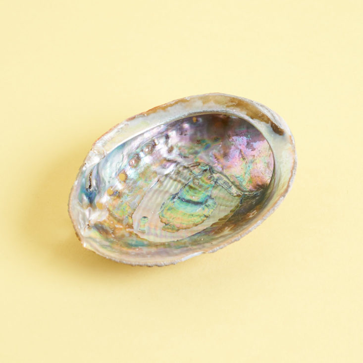 Heart and Honey Queen Bee Elysian Box April 2019 abalone shell