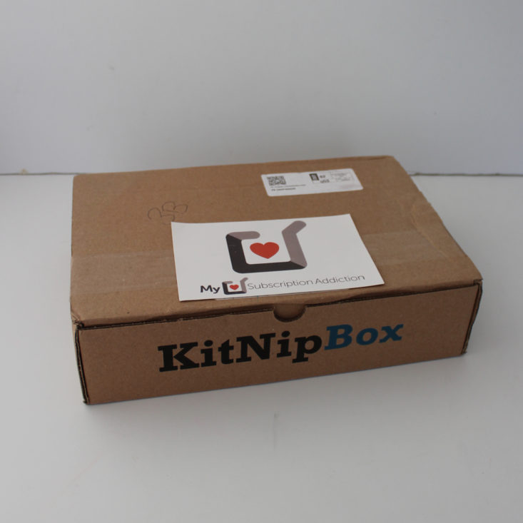 Kitnipbox April 2019 - Box
