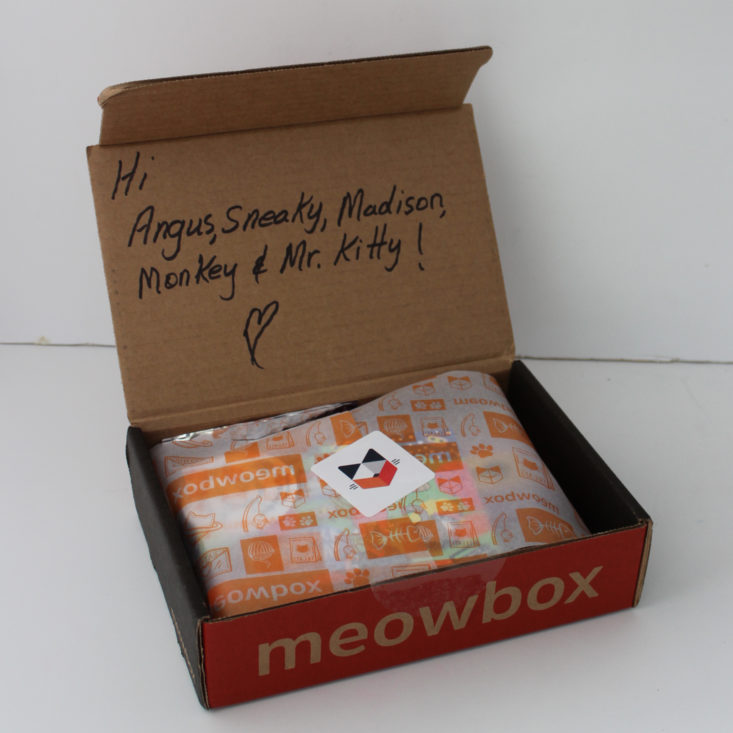 Meowbox Review April 2019 - Open Box Top