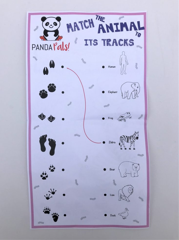 Panda Pals Kid’s Socks April 2019 - Animal Tracks Page