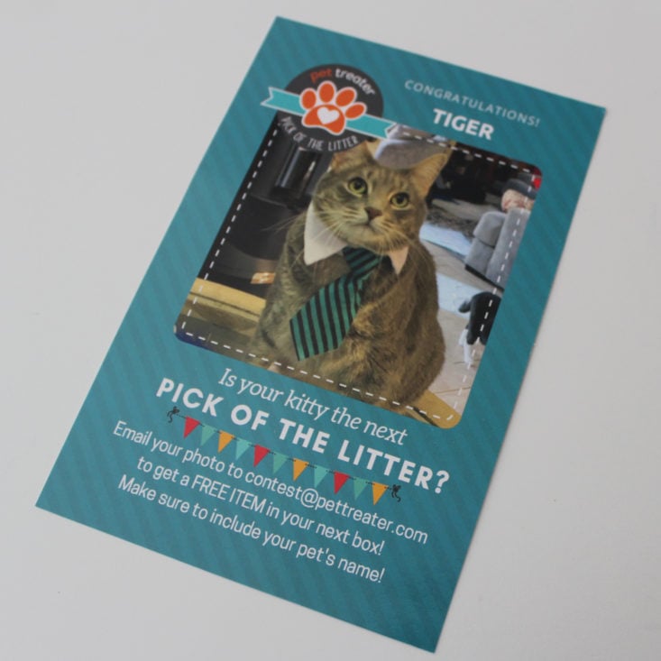 Pet Treater Cat April 2019 - Booklet Front Top