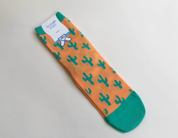 Say It With a Sock April 2019 - Cactus full Top