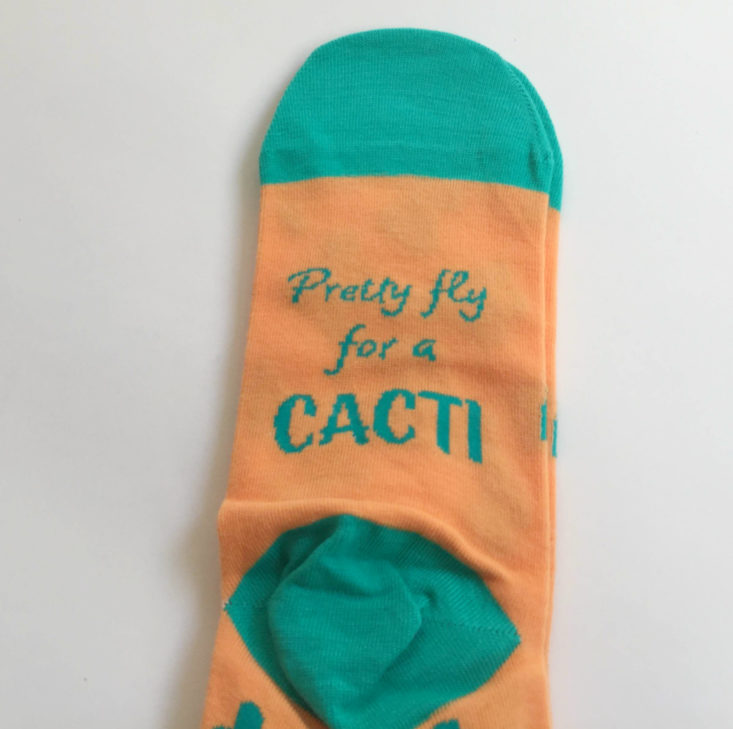 Say It With a Sock April 2019 - Cactus sole Top