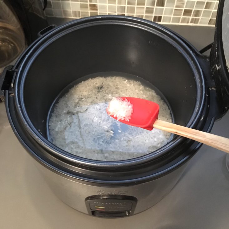 Blue Apron Subscription Box Review May 2019 - BOWL RICE COOKER Top