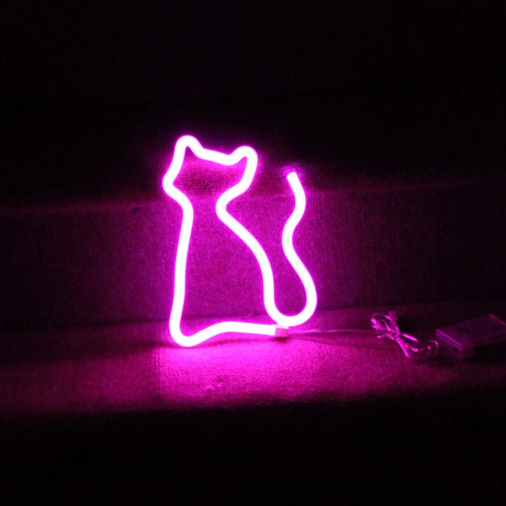 Cat Lady Box May 2019 - Neon Cat Light Closup Front