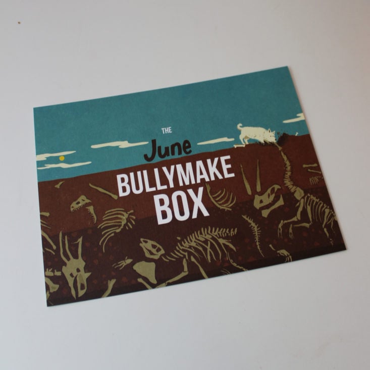 Bullymake Box June 2019 - Booklet Front
