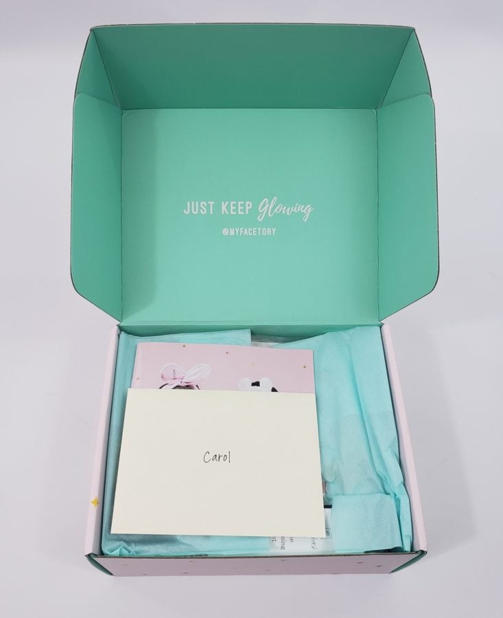 Facetory Lux Plus Review Summer 2019 - Box Open 1 Front