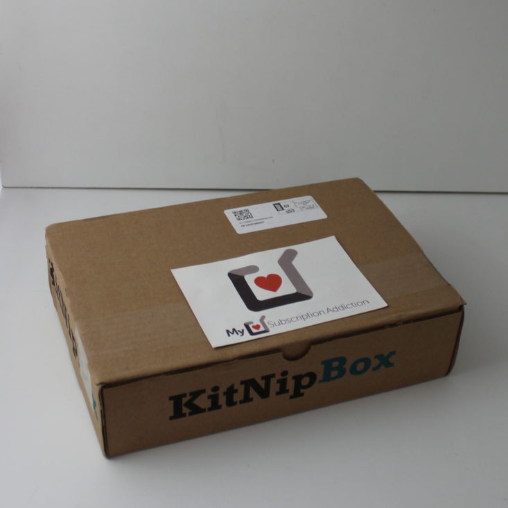 KitNipBox June 2019 - Box